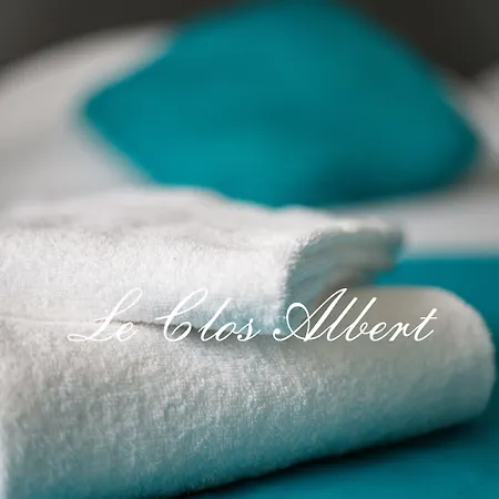 Hotel Le Clos Albert Loudun